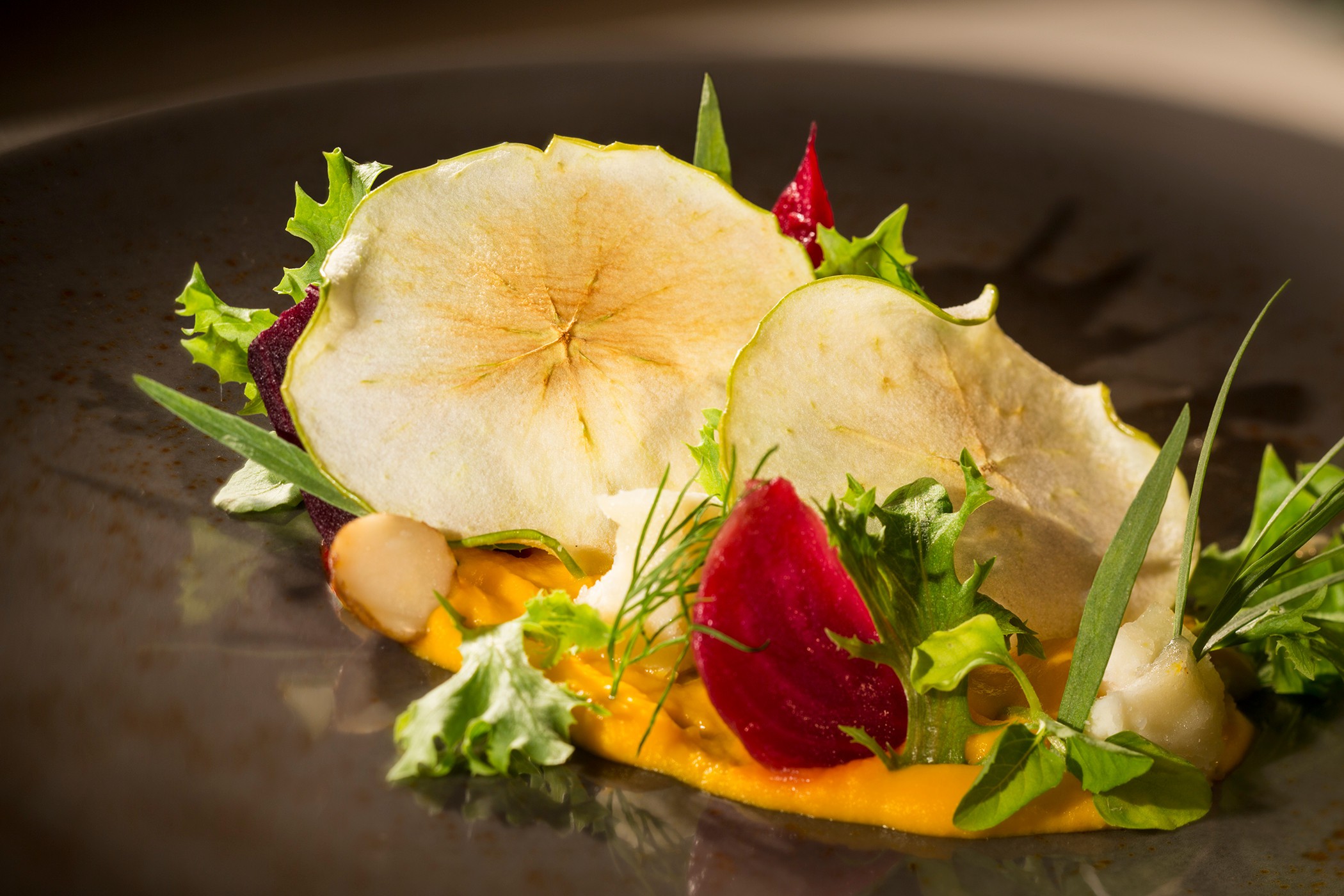 Sprouting salad on the HAL Koningsdam